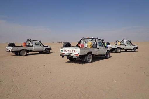 Light Vehicle and Buses Rental Services